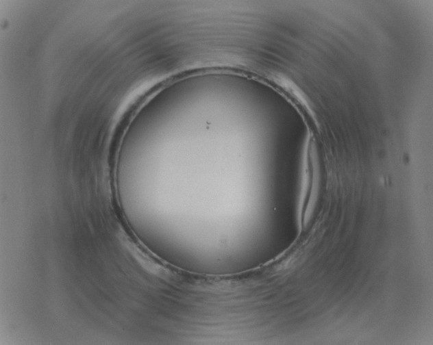 X0000076391072200610202058