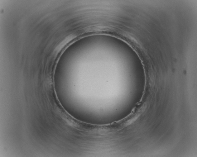 X0000076391073200610202058