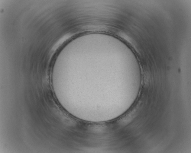 X0000076391074200610202058