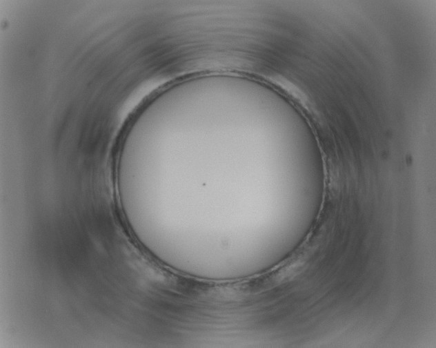 X0000076391078200610202058