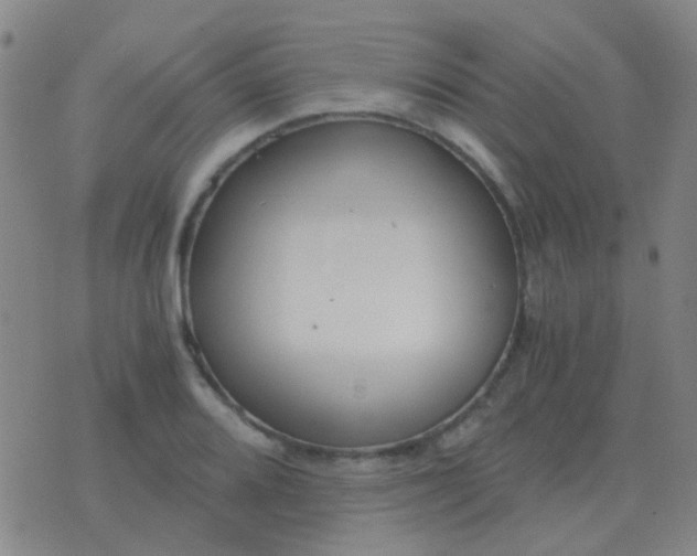 X0000076391080200610202058