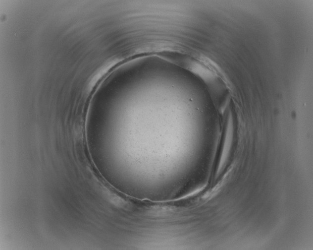 X0000076391081200610202058