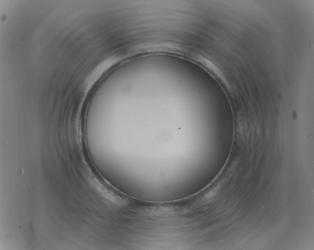 X0000076391082200610202058