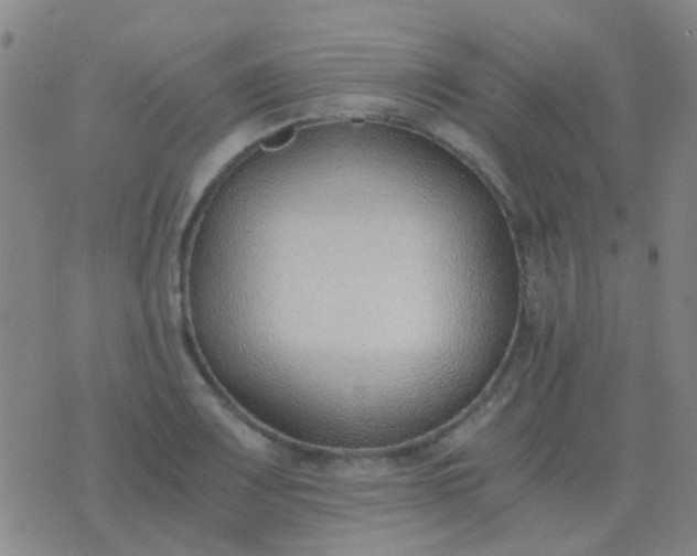 X0000076391083200610202058