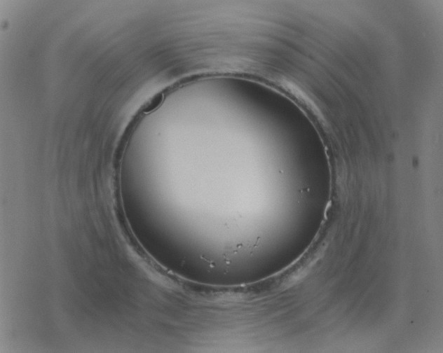 X0000076391085200610202058