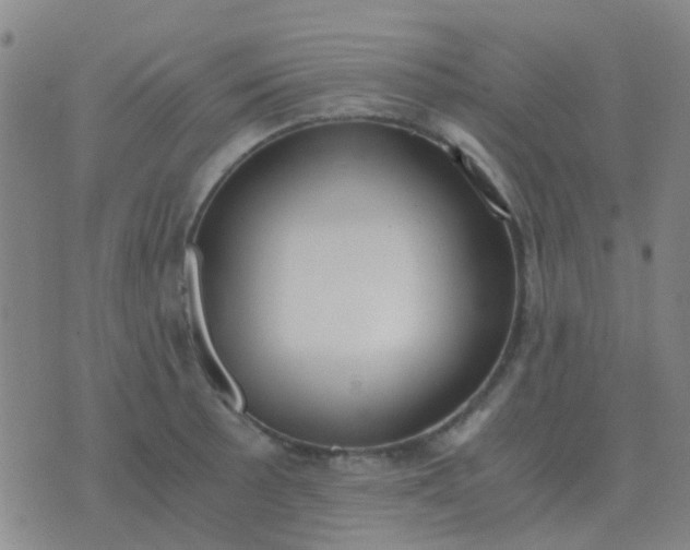 X0000076391089200610202058