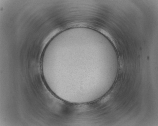 X0000076391090200610202058