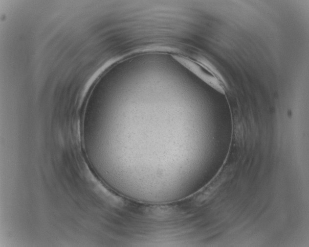 X0000076391092200610202058