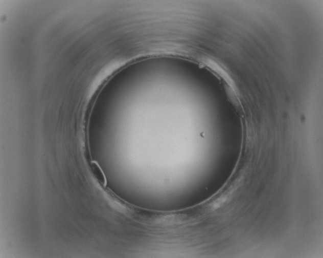 X0000076391093200610202058