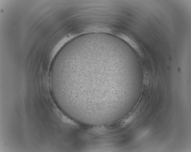 X0000076391094200610202058