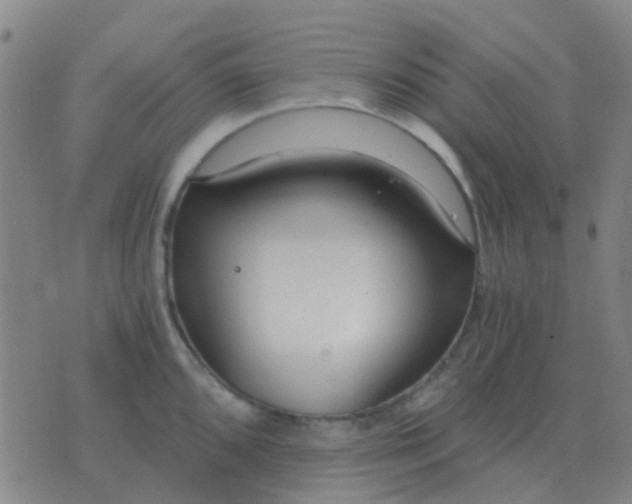 X0000076391096200610202058