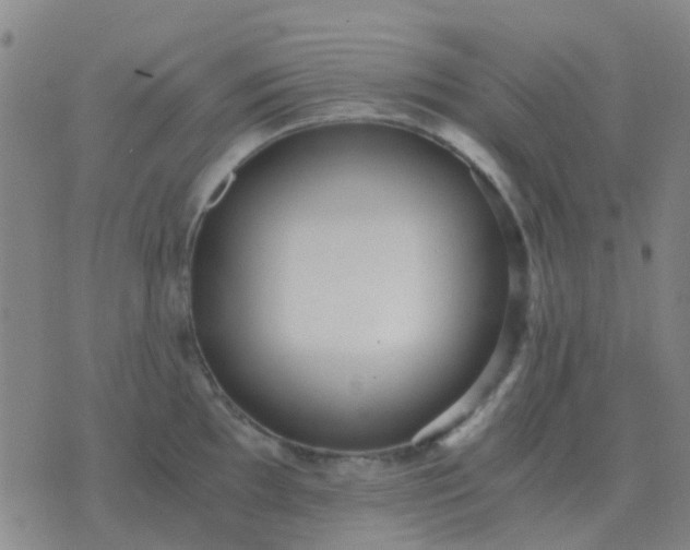 X0000076391097200610202058