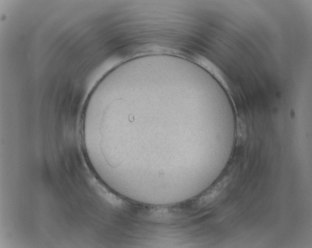 X0000076391098200610202058