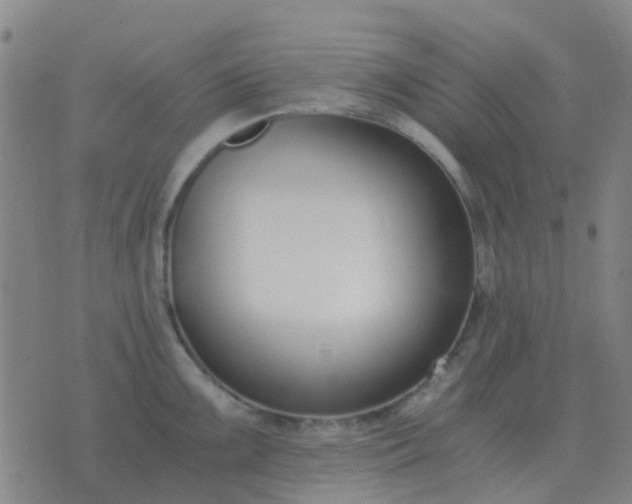 X0000076391099200610202058