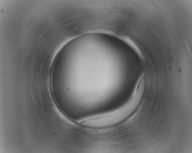 X0000076391100200610202058