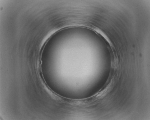 X0000076391101200610202058