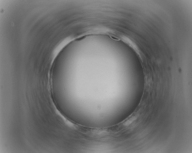 X0000076391103200610202058