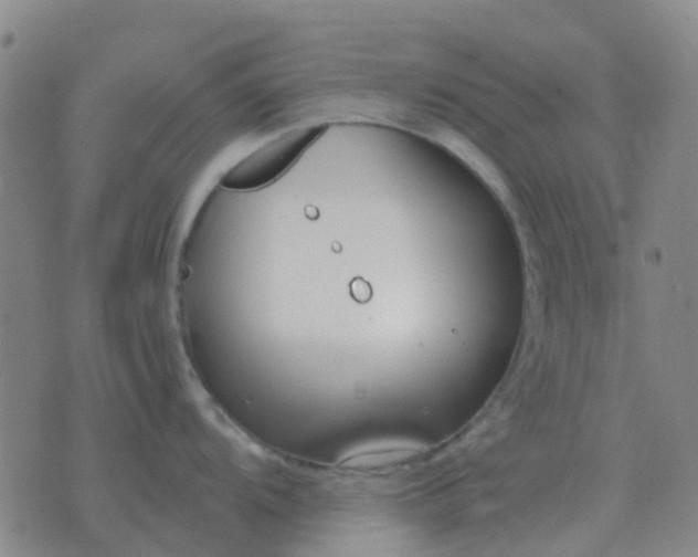 X0000076391104200610202058