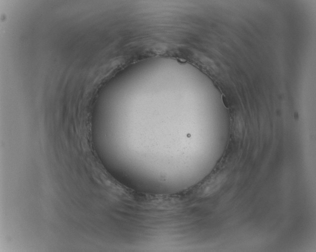 X0000076391105200610202057