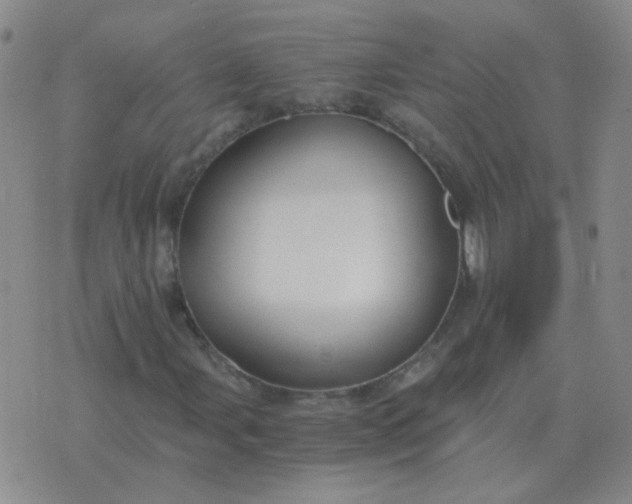 X0000076391107200610202057