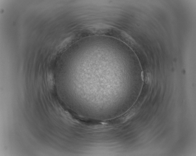 X0000076391108200610202057