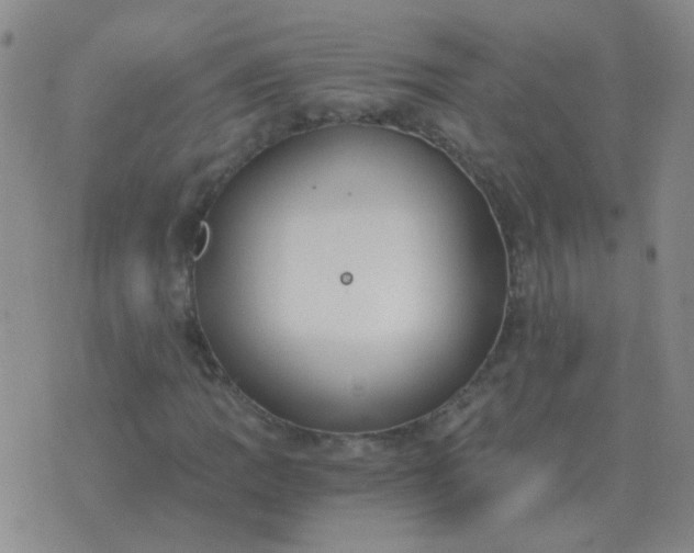 X0000076391109200610202057