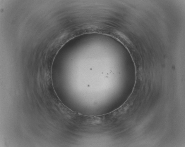 X0000076391111200610202057