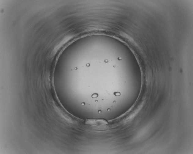 X0000076391113200610202057