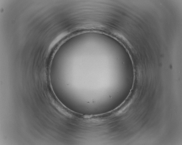 X0000076391114200610202057