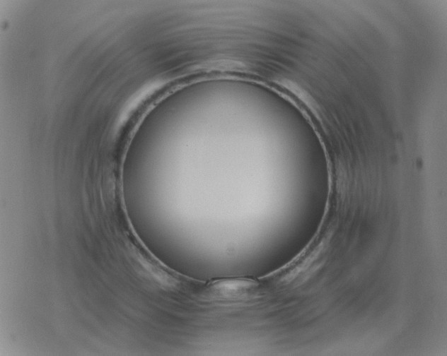 X0000076391115200610202057