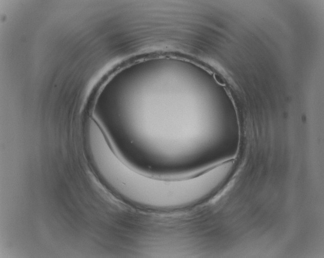 X0000076391118200610202057