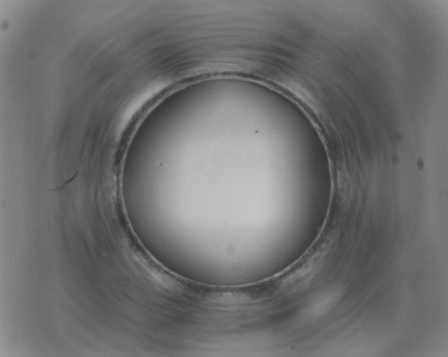 X0000076391119200610202057