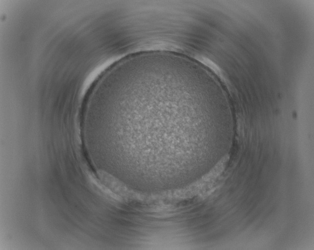 X0000076391120200610202057