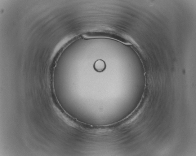 X0000076391122200610202057