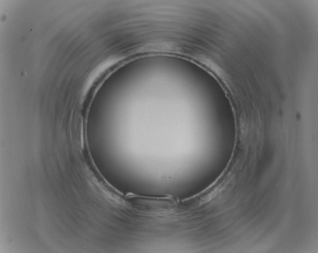 X0000076391123200610202057