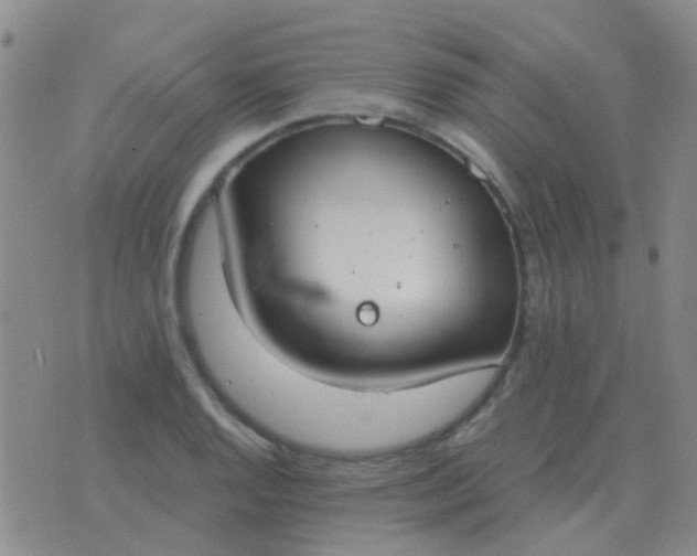 X0000076391128200610202057