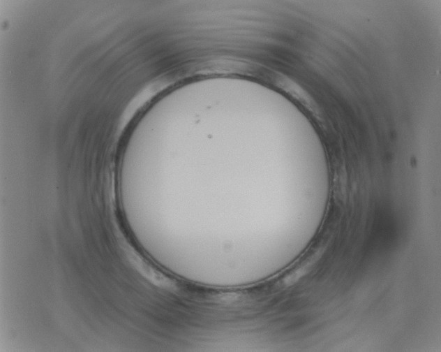 X0000076391130200610202057