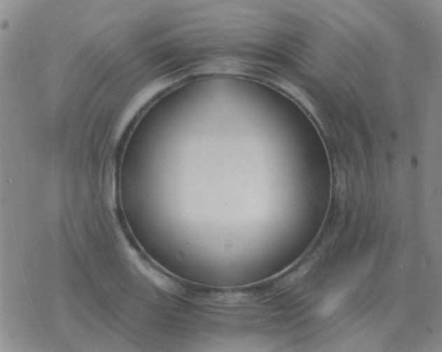 X0000076391131200610202058