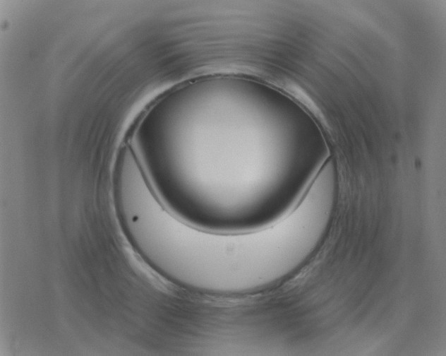 X0000076391132200610202058