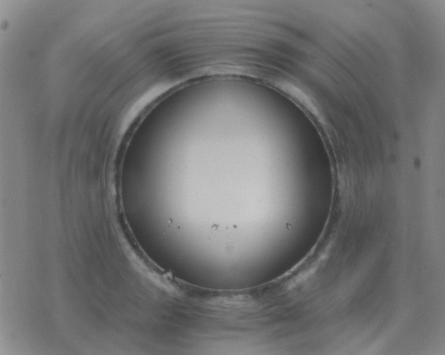 X0000076391133200610202058