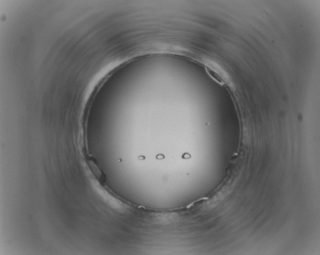 X0000076391136200610202058