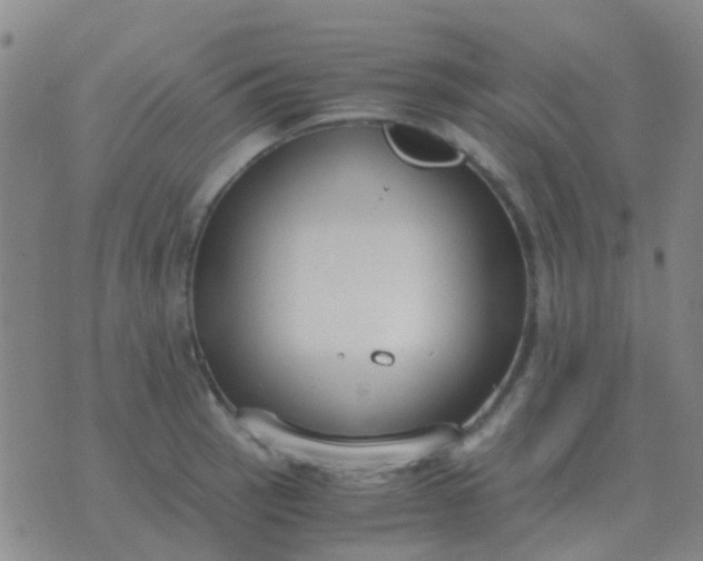 X0000076391137200610202058