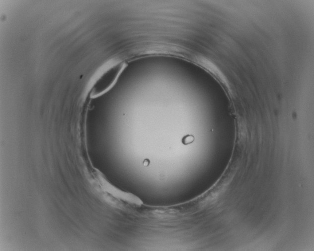 X0000076391138200610202058