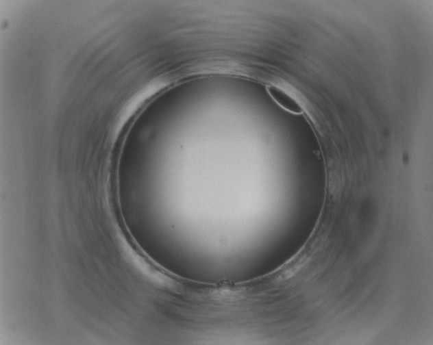 X0000076391139200610202058