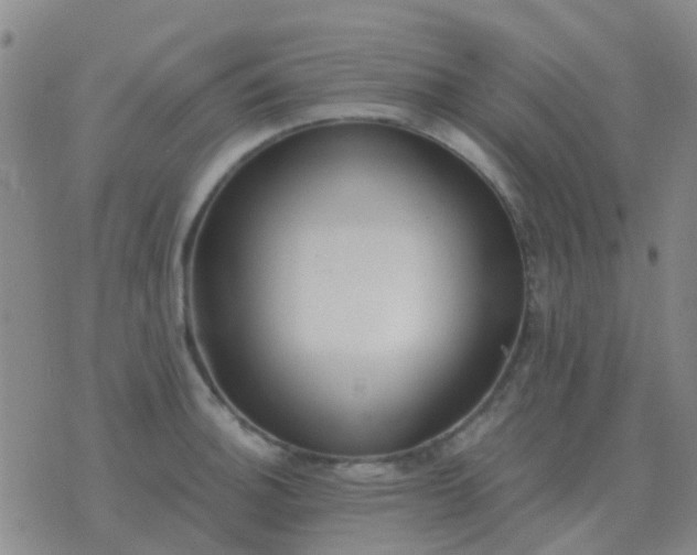 X0000076391140200610202058