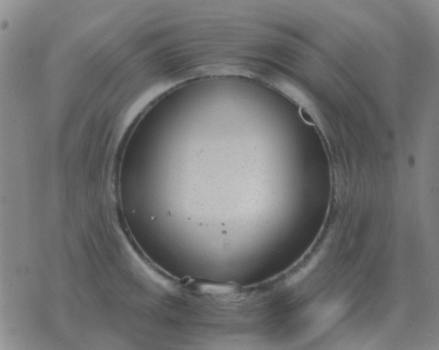 X0000076391141200610202058