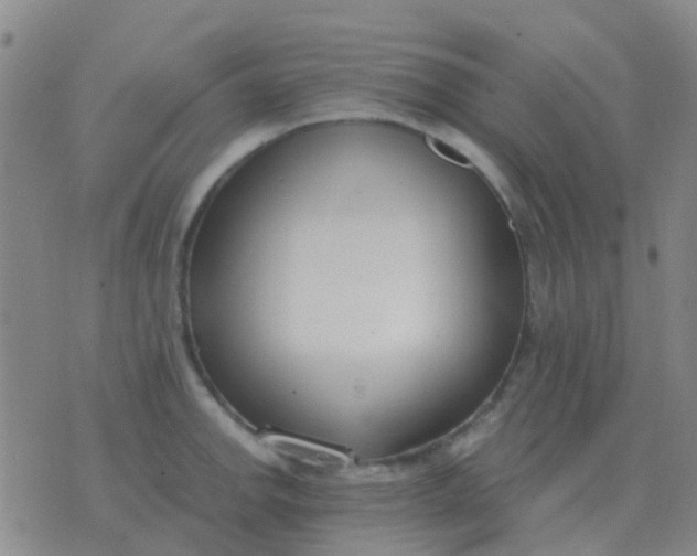 X0000076391142200610202058