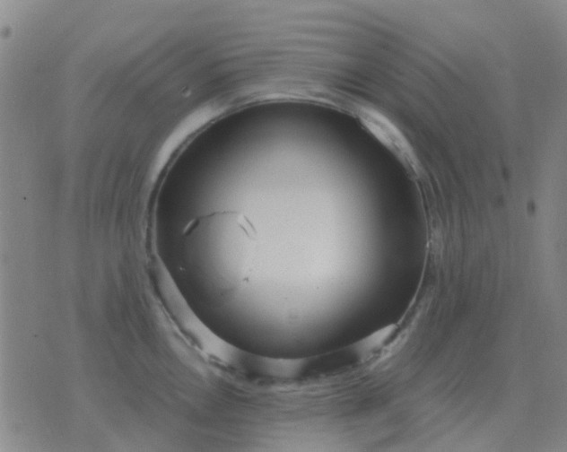 X0000076391146200610202058