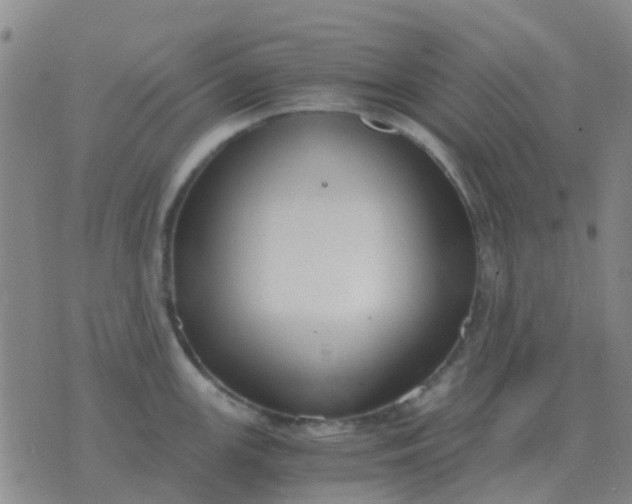 X0000076391147200610202058