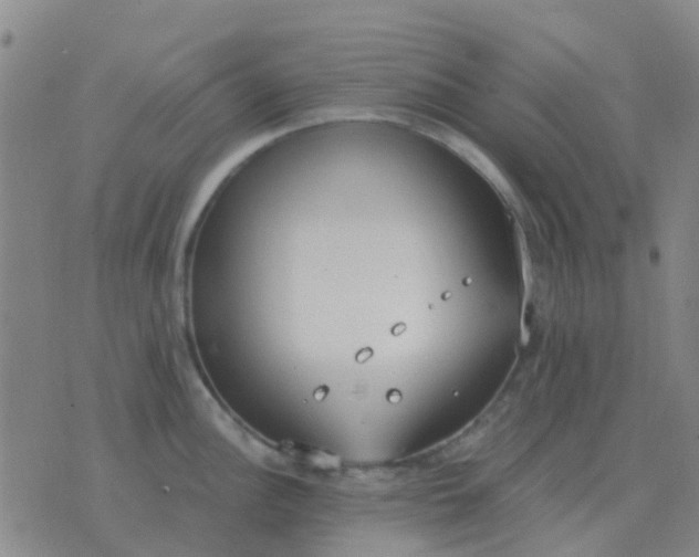 X0000076391148200610202058